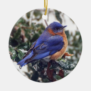 El pájaro azul del este en el adorno navideño