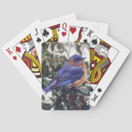 El pájaro azul del este en las cartas de juego hol
