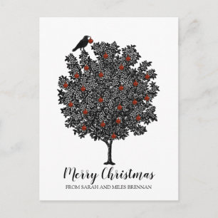 El Pájaro Cuervo Decora El Árbol De Navidad
