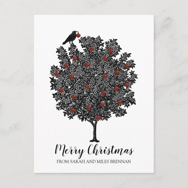 El Pájaro Cuervo Decora El Árbol De Navidad (Anverso)