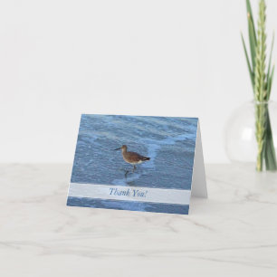 El pájaro de la playa le agradece las notas