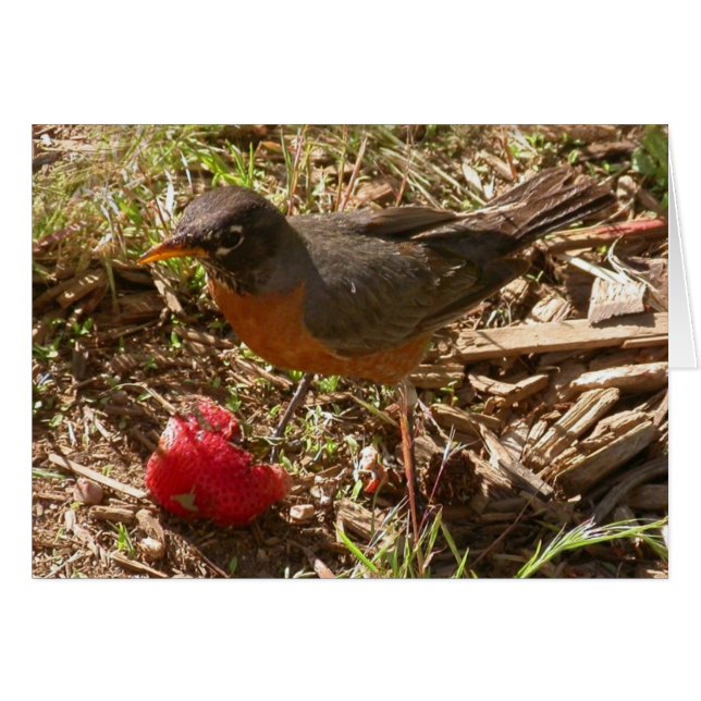 El pájaro madrugador obtiene... (Anverso (Horizontal))