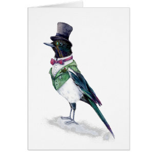 El pájaro magpie de Victoria
