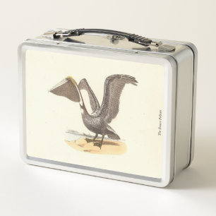 El pájaro Pelican marrón (Pelecanus occidentalis)