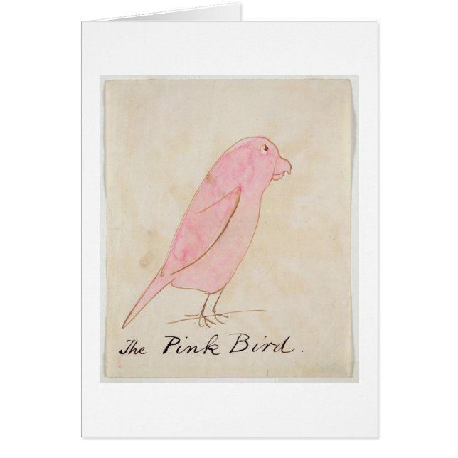 El pájaro rosado, de 'dieciséis dibujos de Bir (Frente)
