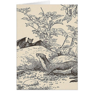 El palo y el visión