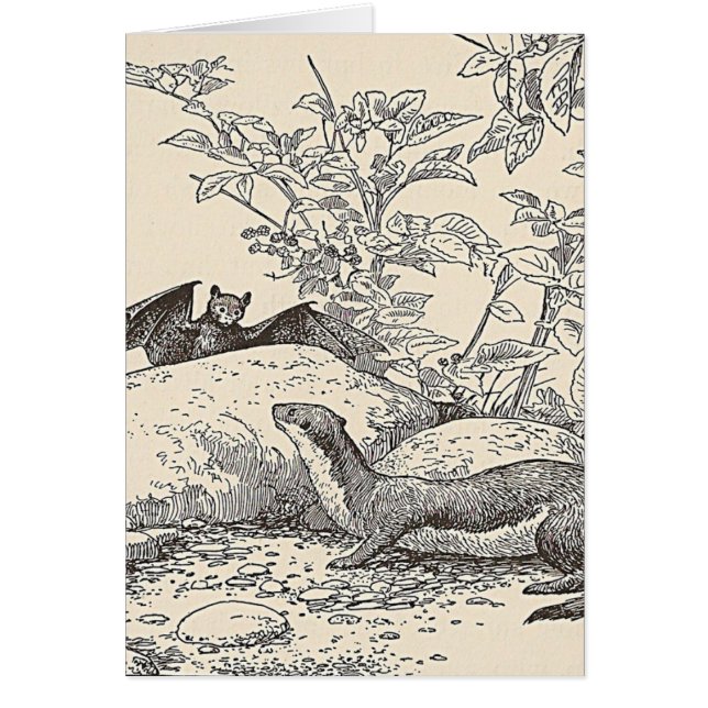 El palo y el visión (Frente)