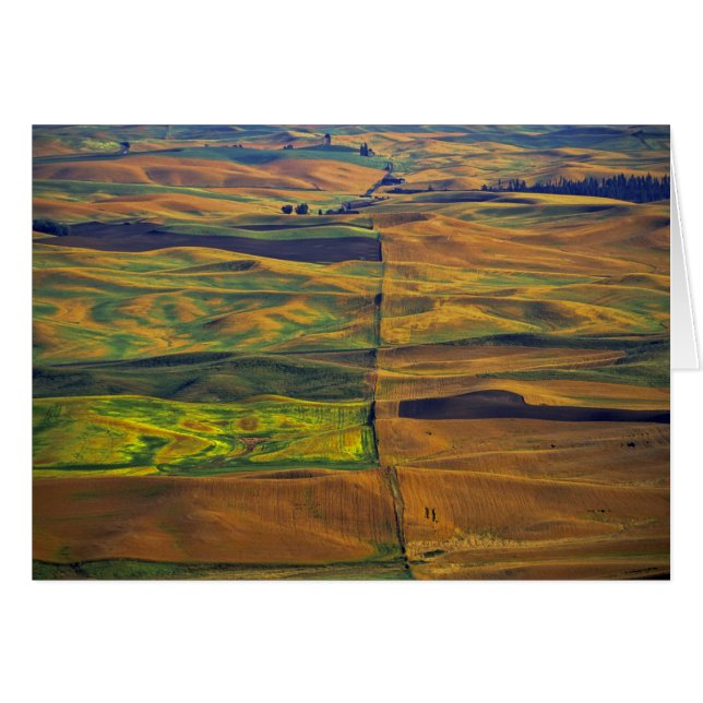 El Palouse desde Steptoe Butte, Colfax, (Anverso (Horizontal))