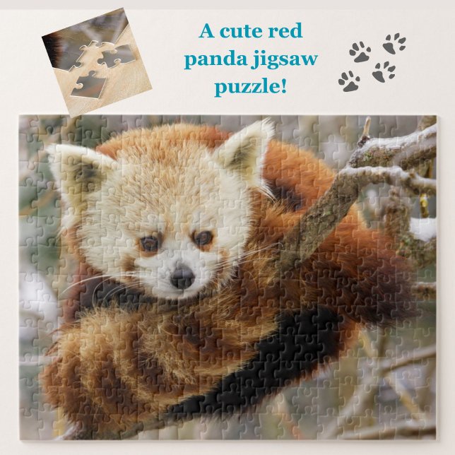 El Panda Rojo Cubierto en el rompecabezas del árbo (A cute red panda jigsaw puzzle, great for animal lovers!)