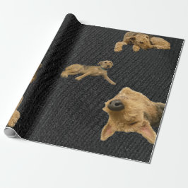 El Papel de Regalo del Airedale Obstinado