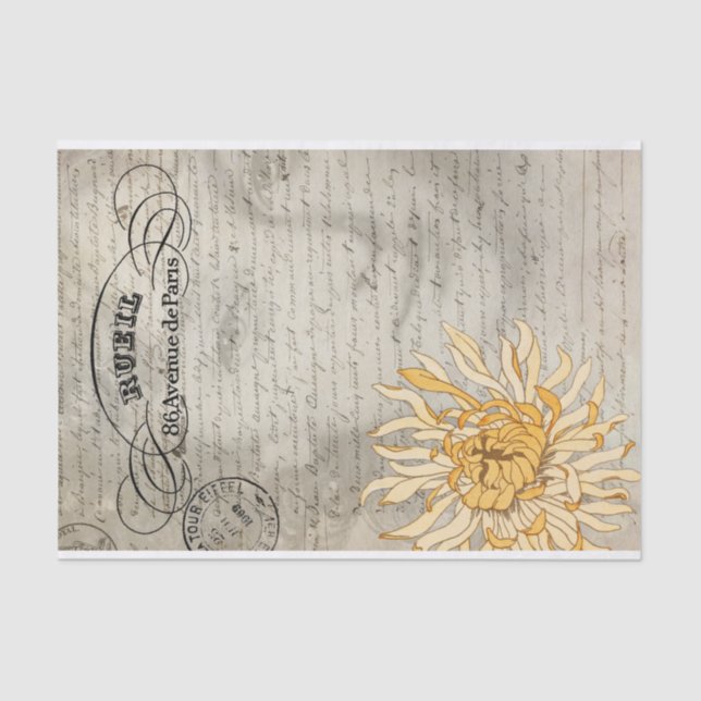 El papel seda de señora Decoupage (Anverso)