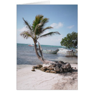 El paraíso del pescador