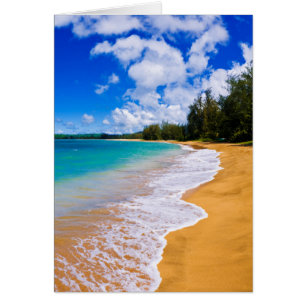 El paraíso tropical de la playa, Hawái