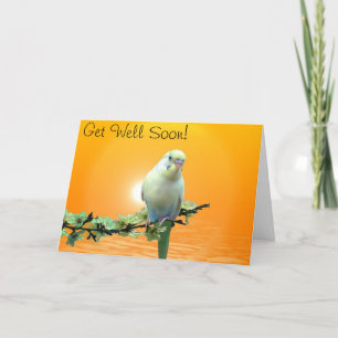 El Parakeet de oro consigue pronto la tarjeta bien