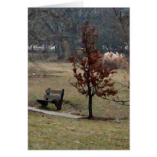 El parque (Frente)