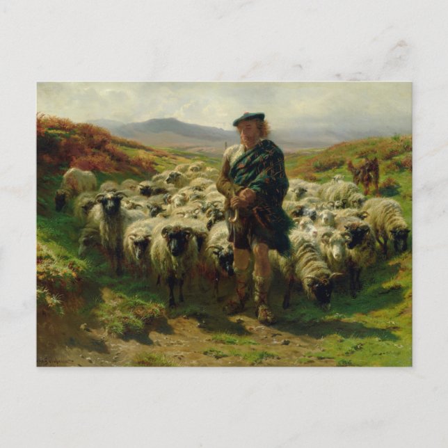 El Pastor de la Highland, por la postal de Rosa Bo (Anverso)