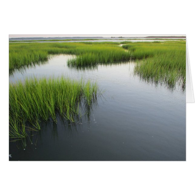 El patio trasero de Beaufort (Anverso (Horizontal))