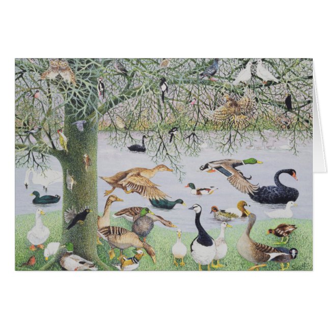 El pato impar (Anverso (Horizontal))