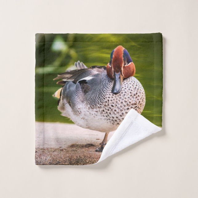 El Pato Recibe Una Pierna (Toallita)