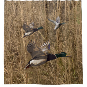 El pato silvestre de la cortina de ducha Ducks