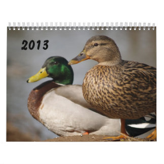 El pato silvestre Ducks el calendario 2014 de los
