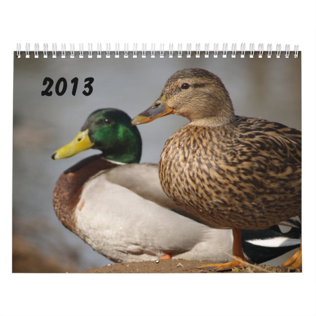 El pato silvestre Ducks el calendario 2014 de los (Tapa)
