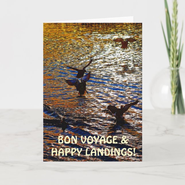 El PATO SILVESTRE DUCKS la tarjeta de felicitación (Anverso)