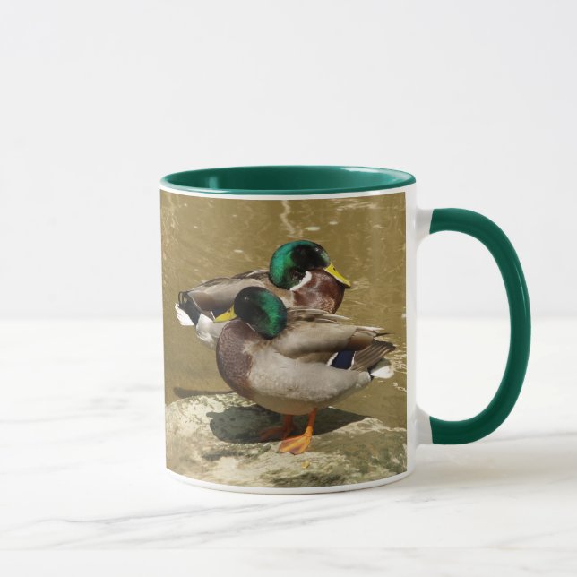 El pato silvestre Ducks la taza (Derecha)