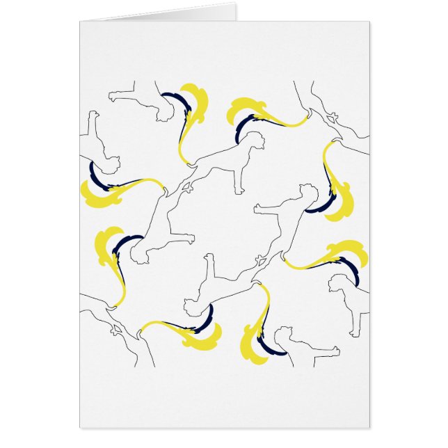 El patrón Boxer (Frente)