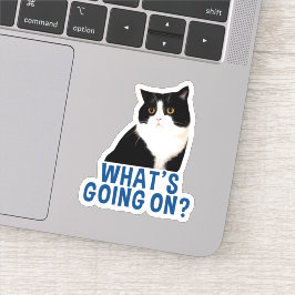 El Pegatina de WhatsGoingOn de Manchester