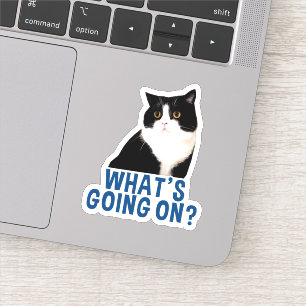 El Pegatina de WhatsGoingOn de Manchester