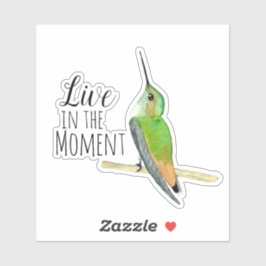 El Pegatina del colibrí de Allen