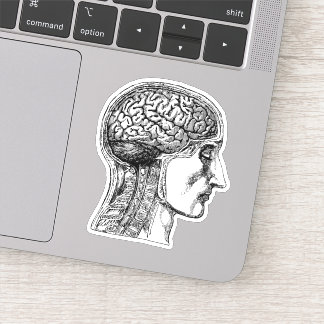 El Pegatina del Ilustracion médico del cerebro hum