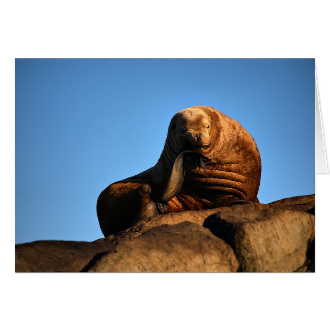 El pensador (Anverso (Horizontal))