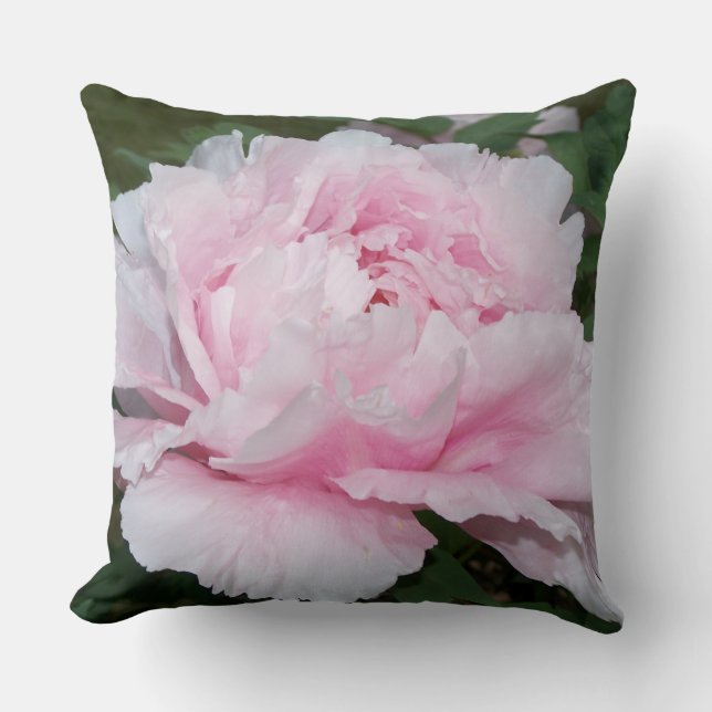El Peony doble florece almohada de x 2 (Anverso)