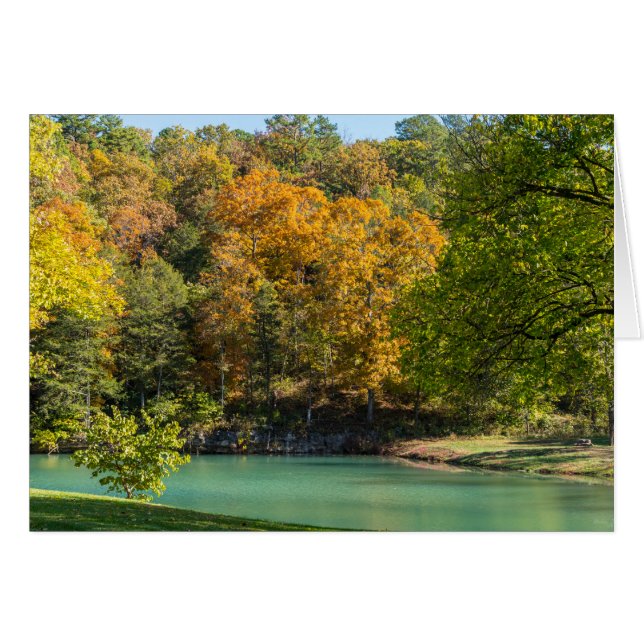 El pequeño Goldie indio (Anverso (Horizontal))