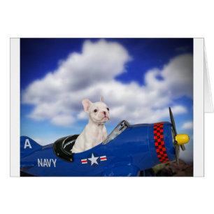 El pequeño piloto