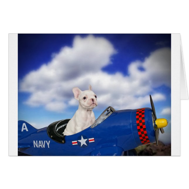 El pequeño piloto (Anverso (Horizontal))