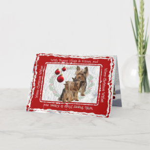 El perrito del navidad de Yorkie abraza y besa la