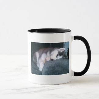 El perrito duerme taza