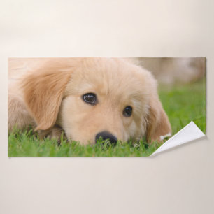 El perrito lindo del golden retriever soña la fot