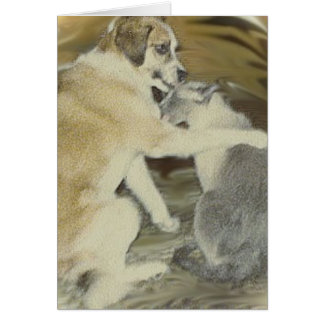 el perro ama el gato