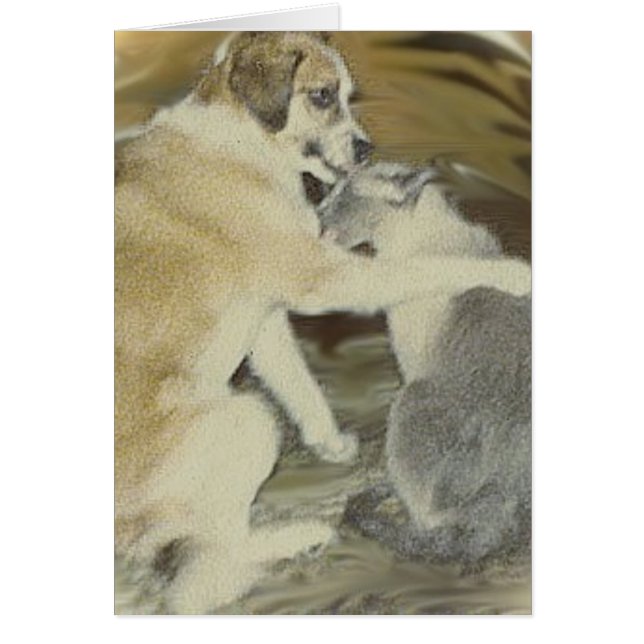 el perro ama el gato (Frente)