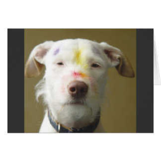 El perro artístico