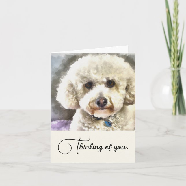 El Perro Bichon Frise Personaliza Pensando En Ti (Anverso)