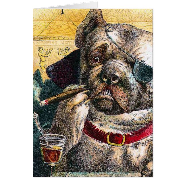 El perro de la gorila (Frente)