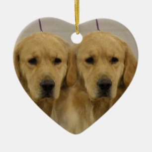 El perro del golden retriever hermana el ornamento
