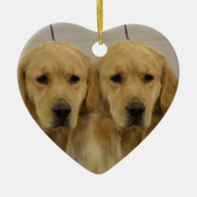 El perro del golden retriever hermana el ornamento (Frente)
