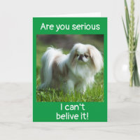 EL PERRO DICE *FELICITACIONES EN TU TARJETA *NUEVA