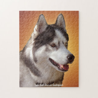 El perro esquimal observa rompecabezas